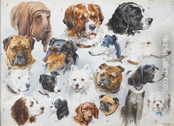 Eighteen Dogs Oil Painting - S. T. Dadd