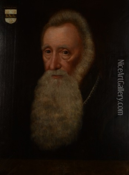 Portrait Of A Bearded Gentleman Oil Painting - Paul van Somer