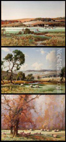 Sheep And Cattle Grazing In Country Landscapes Oil Painting - Thomas, Tom Campbell
