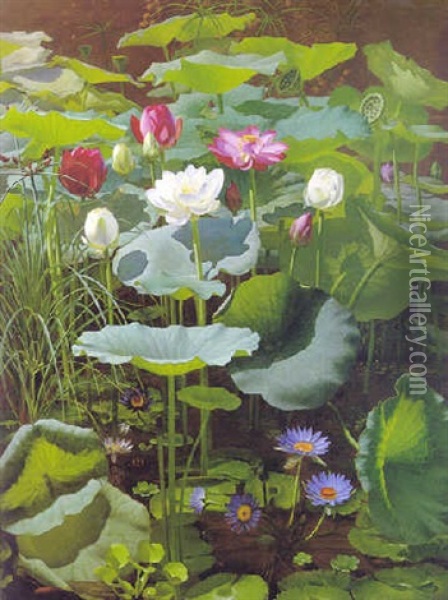 Lily Pond Oil Painting - Otto Didrik Ottesen