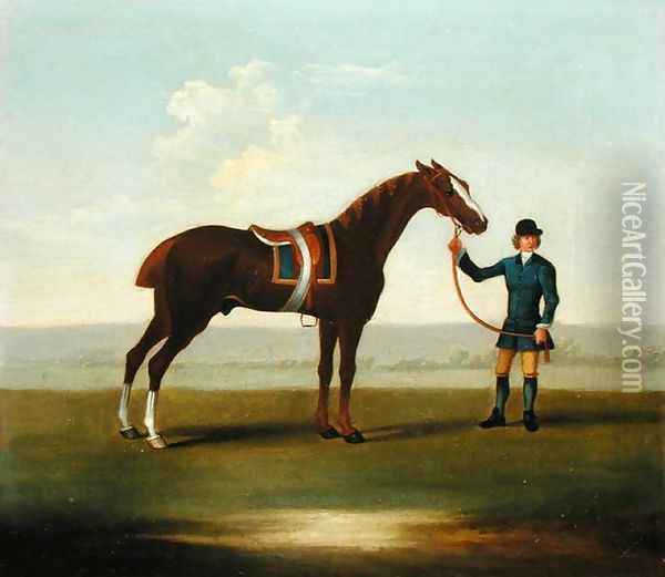 A Chestnut Horse Oil Painting - James Seymour