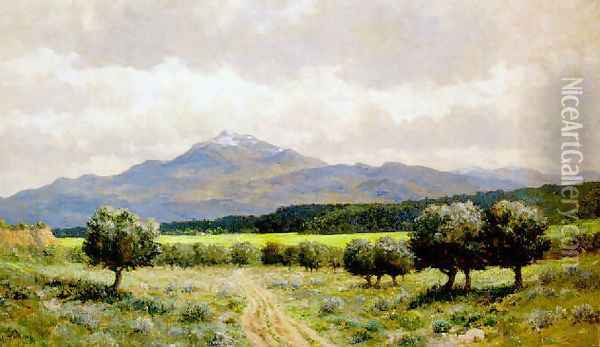 Mt. Shasta Oil Painting - James Craig Nicoll