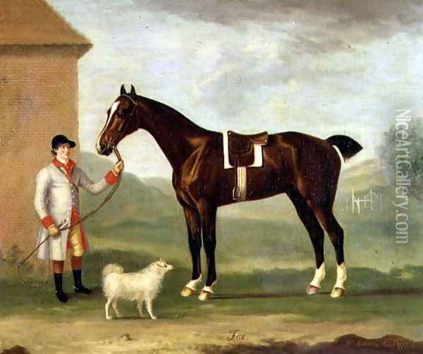 Fox - a dark bay hunter, held by a liveried groom, 1772 Oil Painting - Francis Sartorius
