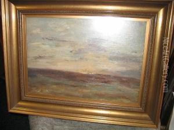 A Galloway Moor Oil Painting - Harry Mcgregor
