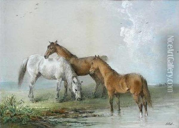 Abay And A Chestnut Pony At Water Oil Painting - Edward Robert Smythe