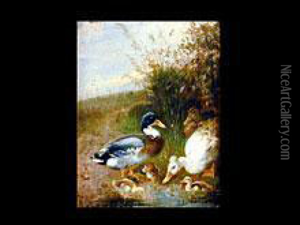 Entenfamilie Am Wasser Oil Painting - Julius Scheurer