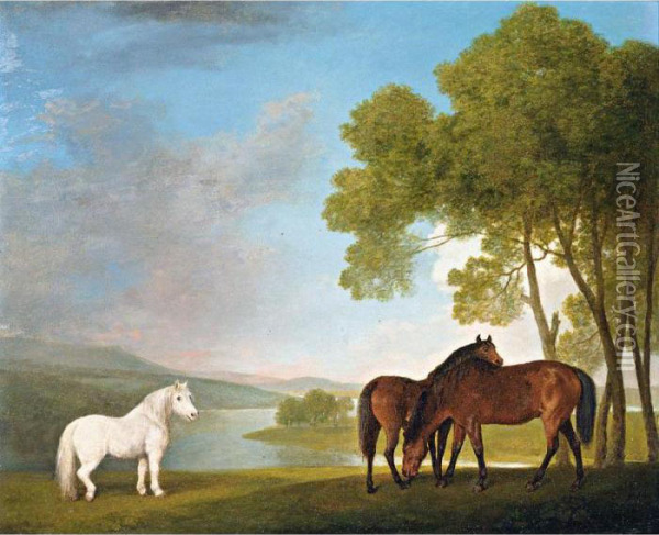 Two Bay Mares And A Grey Pony In A Landscape Oil Painting - George Stubbs