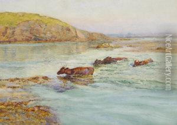 Moving The Cattle To Island Off Donegal Oil Painting - William Henry Bartlett
