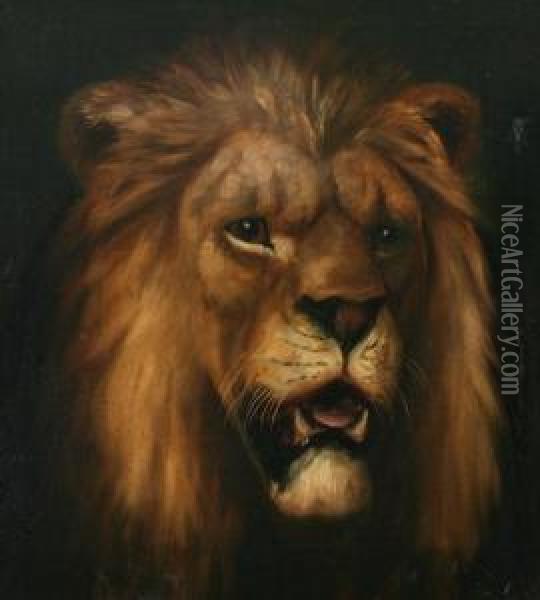 Lion's Head Oil Painting - Alexander Pope