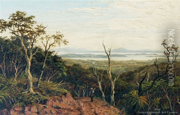 Auckland Harbor From Putumatiki Hill, Waitakere Ranges Oil Painting - Albert Edward Aldis
