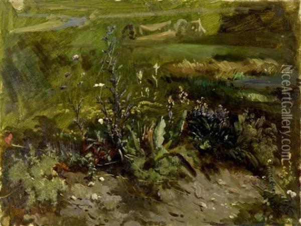 Landscape Study With Turf In The Foreground Oil Painting - Louis, Ludwig Reinhardt