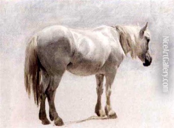 A Highland Pony Oil Painting - Sir Edwin Henry Landseer