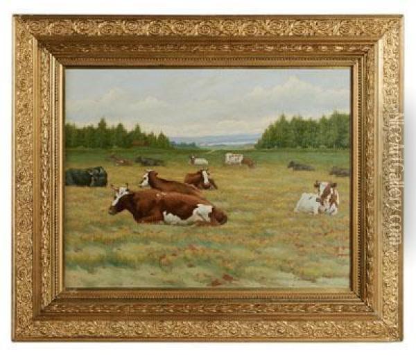 Cows Resting In A Pasture Oil Painting - Gustaf Carleman