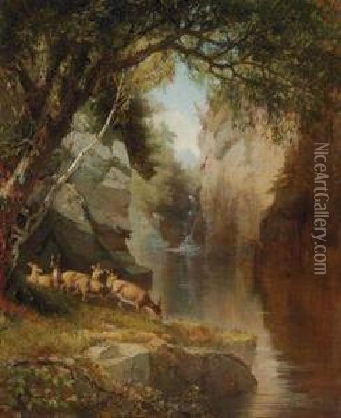 Deer In The Adirondacks Oil Painting - Aaron Draper Shattuck