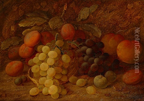 Stilleven Met Fruit Oil Painting - Vincent Clare
