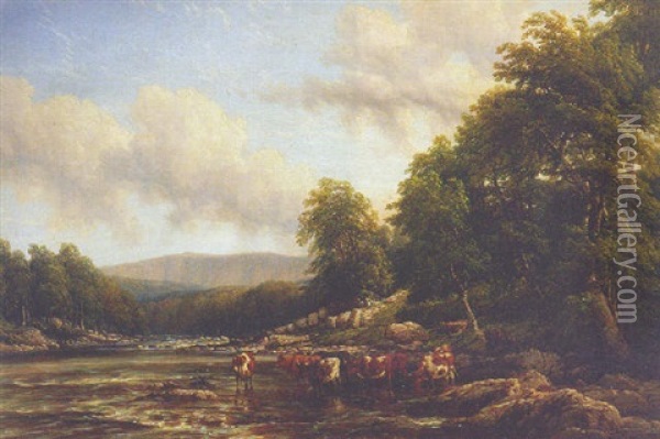 Cattle Watering In A Tranquil River Oil Painting - Thomas Baker