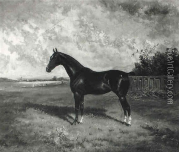 Cudham Marjorie, A Dark Bay Hackney Horse Standing In A Landscape Oil Painting - Frederick Albert Clark