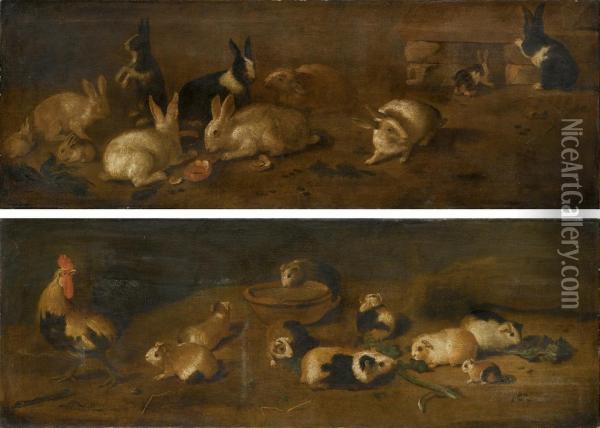 Conigli; E Animali Da Cortile E Porcellini D'india Oil Painting - Giovanni Agostino Cassana