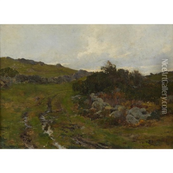 The Stream Up In The Mountain Oil Painting - Hugh Bolton Jones