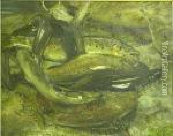Trout And Eels Oil Painting - William Walls
