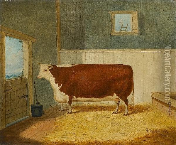 A Hereford Shorthorn In A Stable Oil Painting - Richard Whitford