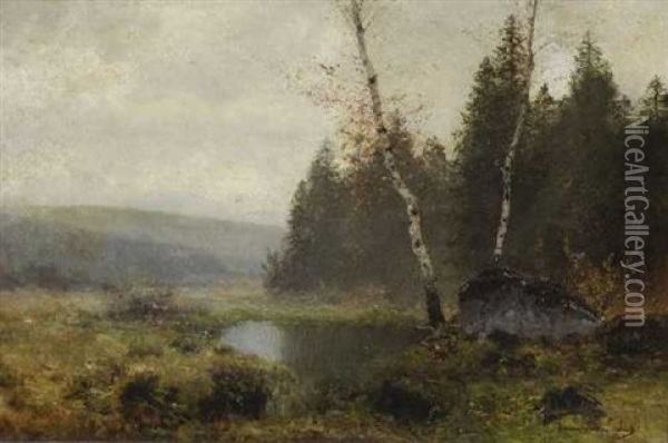 Moorlandschaft Oil Painting - Carl August Sommer