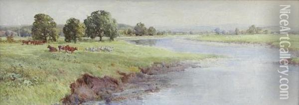 Cattle And Sheep Grazing In A River Landscape Oil Painting - Harry T. Hine