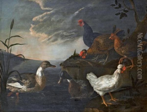 Canards, Poules Et Coqs Dans Un Paysage Lacustre Oil Painting - Paolo Antonio Barbieri