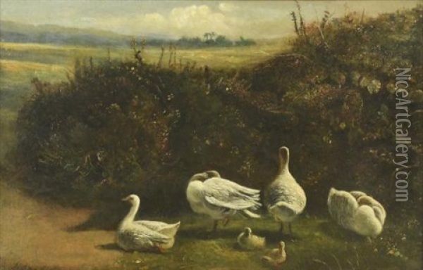 Geese In A Landscape Oil Painting - James Smetham