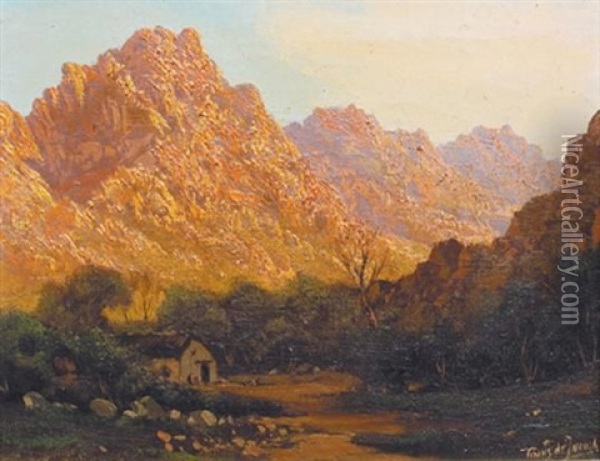 Landscape, Cedarberg Oil Painting - Tinus de Jongh