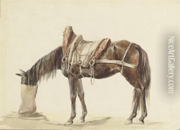 A Saddled Horse Eating From A Feed Bag Oil Painting - James Ward
