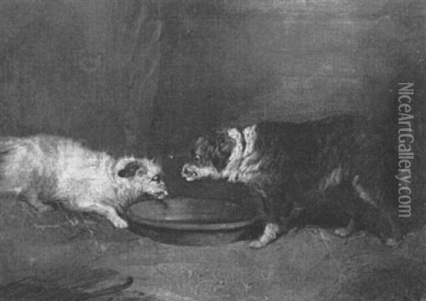 Dogs At Their Dish Oil Painting - George Armfield