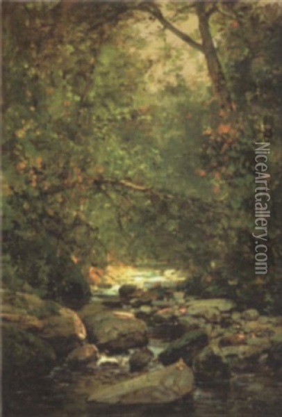 Stream In Forest Interior Oil Painting - Thomas Hill