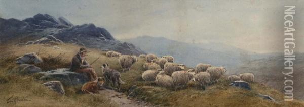 Herder Met Zijn Schapen Inheuvellandschap Oil Painting - Thomas, Tom Rowden