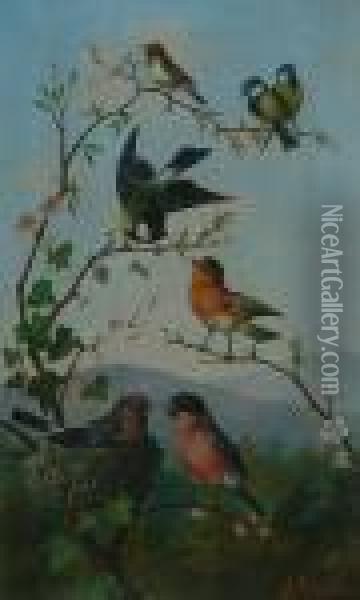 Songbirds Oil Painting - Michaelangelo Meucci
