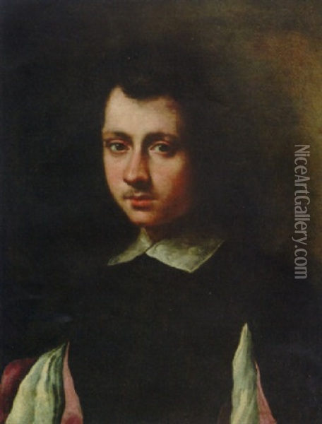 Portrait Of A Young Man In A Black Doublet With Slashed Sleeves And A White Collar Oil Painting - Carlo Ceresa