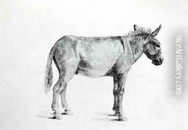 Donkey 1766 Oil Painting - George Stubbs