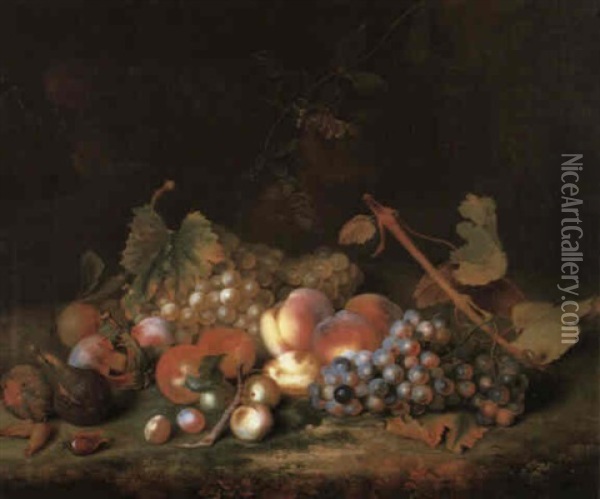 Still Life Of Grapes, Peaches, Figs, Plums And Cobnuts On A Mossy Bank Oil Painting - William Smith