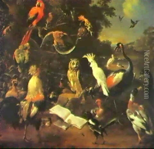 A Concert Of Birds In A Landscape... Oil Painting - Melchior de Hondecoeter