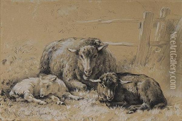Sheep Resting In A Field Oil Painting - Rosa Bonheur