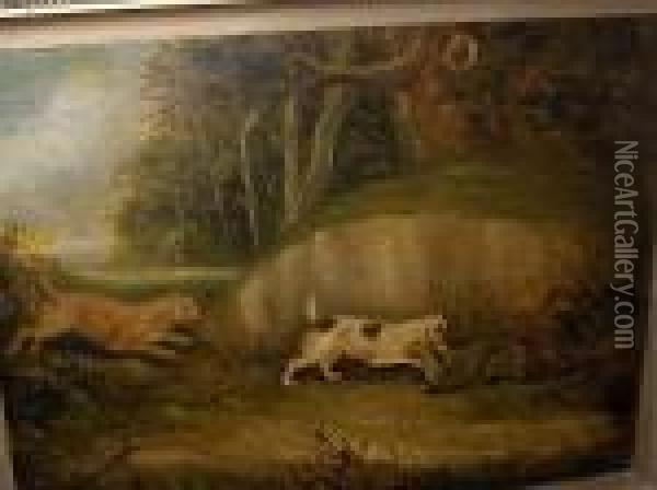Two Terriers And A Badger Oil Painting - George Armfield