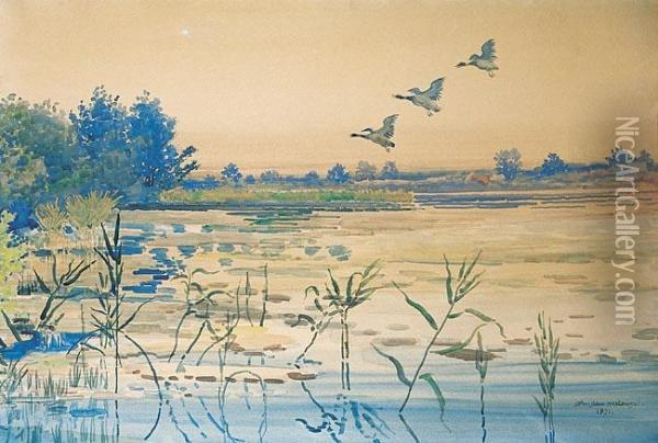 Szuwary, 1921 R. Oil Painting - Stanislaw Maslowski