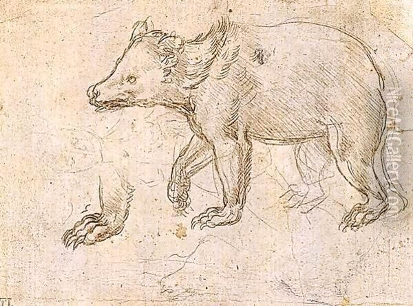 Studies of a Bear Walking Oil Painting - Leonardo Da Vinci