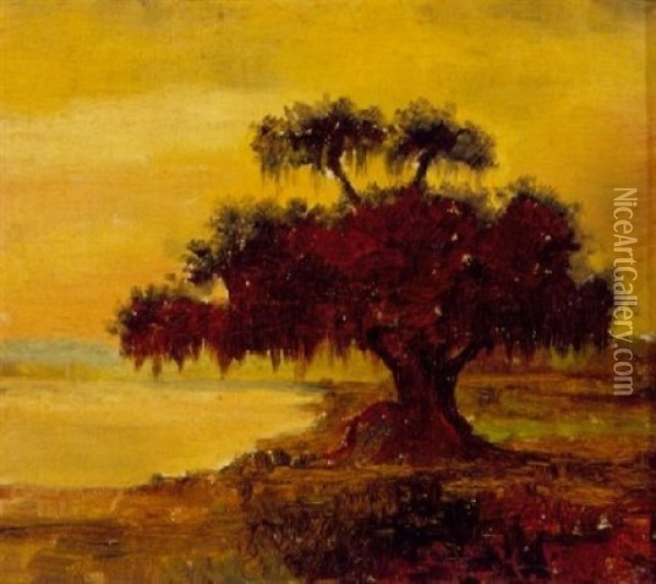 Live Oak With Spanish Moss, Lake Ponchartrain, Louisiana Oil Painting - William Henry Buck