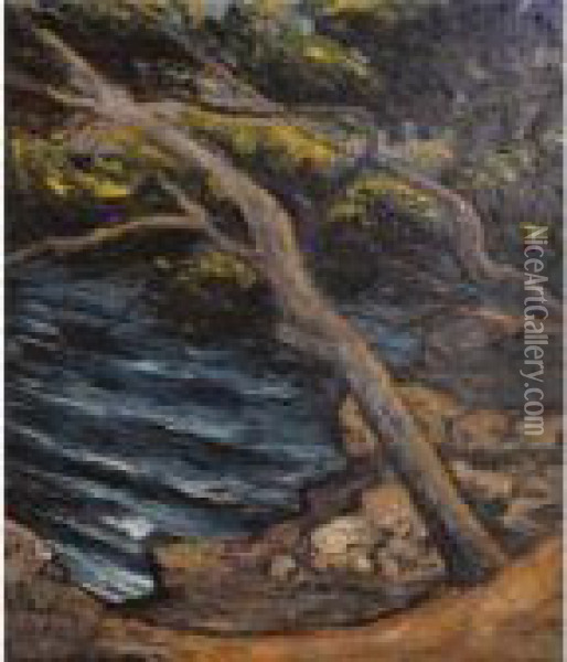 Lake Landscape With Trees Oil Painting - Vera Rockline