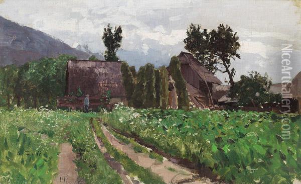 Maisfeld In Kirschenheim Oil Painting - Alfred Zoff