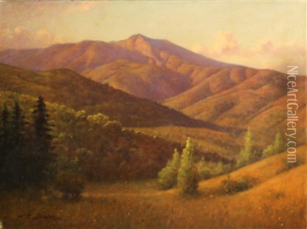 Marin Hillside, Mount Tamalpais Oil Painting - William Barr