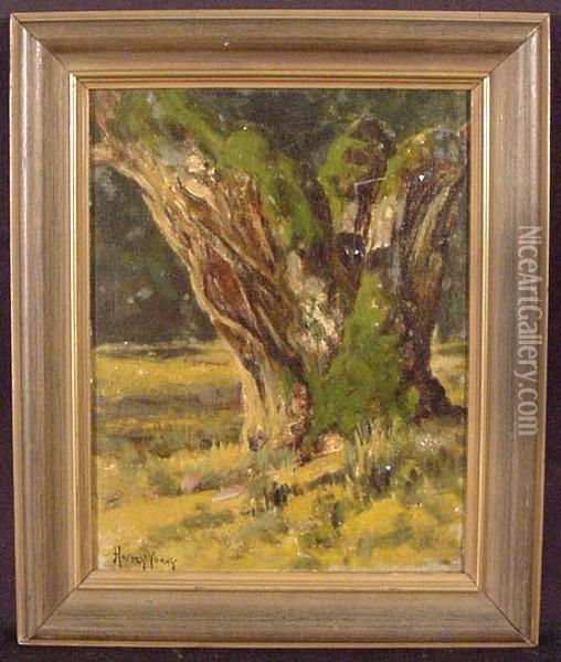 A Study Of A Tree Trunk Oil Painting - Harvey Otis Young