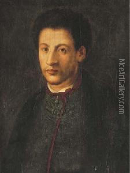 Portrait D'alexandre De Medicis Oil Painting - (Jacopo Carucci) Pontormo