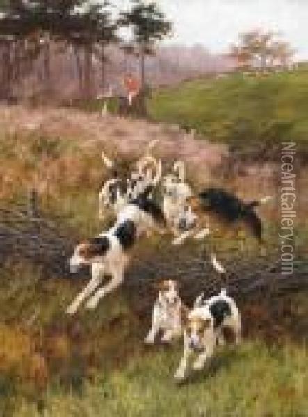 Hounds On The Scent Oil Painting - Thomas Blinks